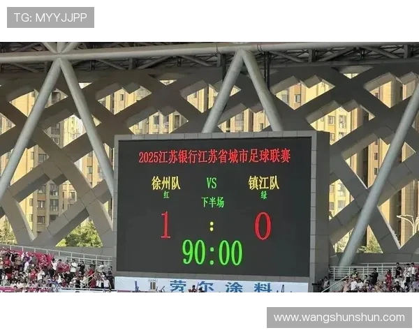 南京足球队的崛起与发展探索展现城市足球的无限潜力与激情