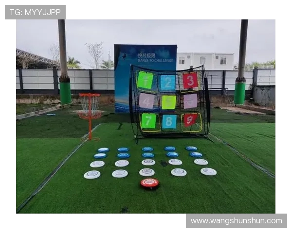 重庆飞盘队战术深度分析与转换打法的独特魅力