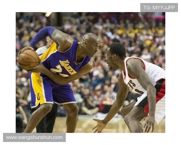 探寻篮球运动员成长之路与职业竞技魅力全景深度解析发展趋势研判