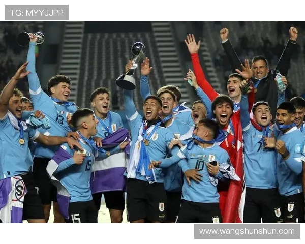 厄瓜多尔与乌拉圭比赛前瞻分析及胜负预测详解 厄瓜多尔与乌拉圭比赛前瞻分析及胜负预测详解